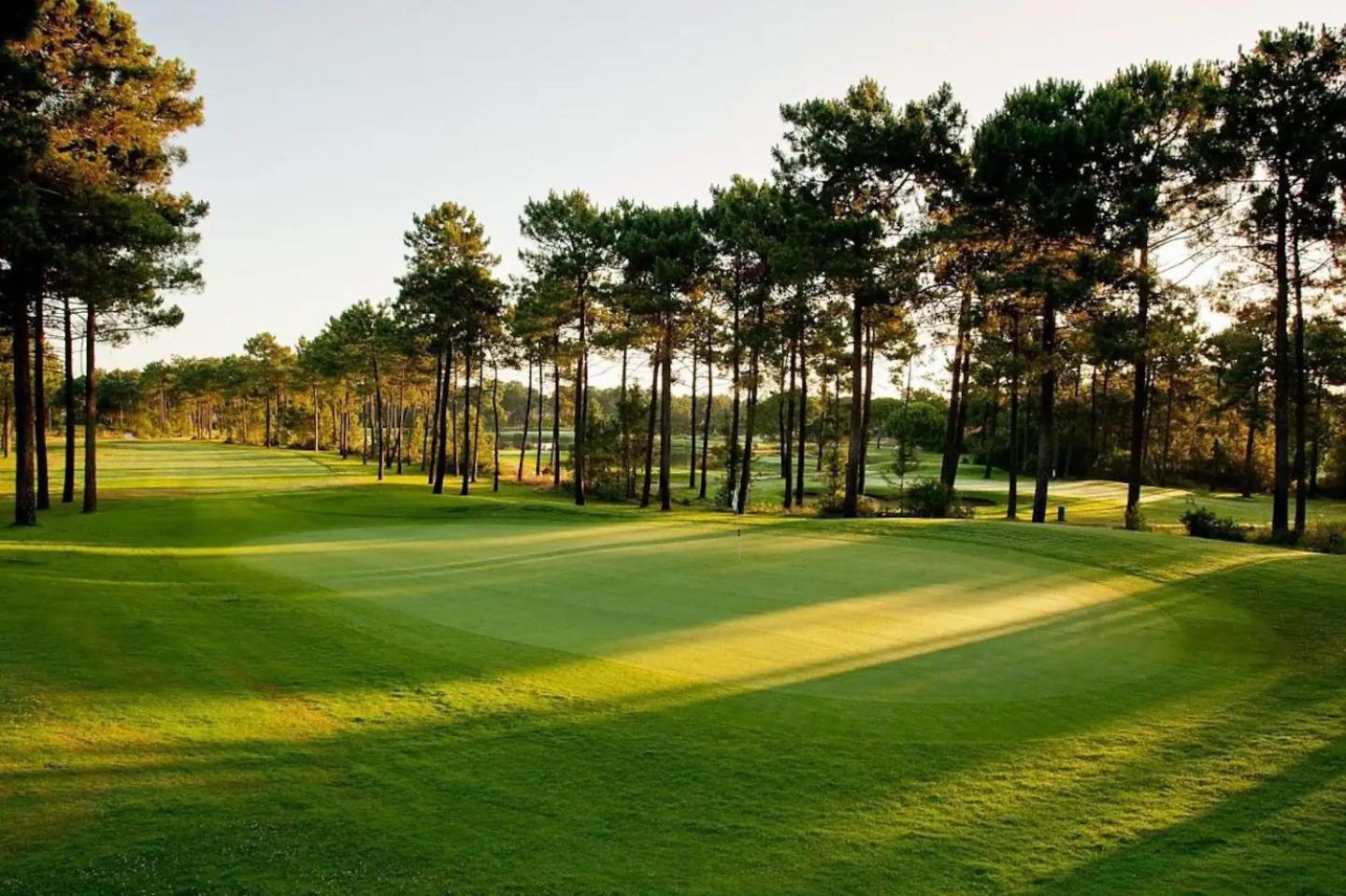 Belart Luxury Golf *